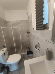 a bathroom with a toilet and a sink and a shower at Vila ANA in Cluj-Napoca +70 photos