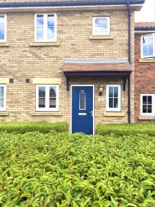 a brick house with a blue door in front at Jambow Blue in Filey