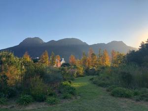 a garden with trees and a house in the distance at Chambray Estate - The Terraces in the Vines in Franschhoek +8 photos