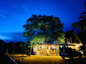 un árbol frente a una casa por la noche en Lenama Wild Holiday Resort, en Panama
