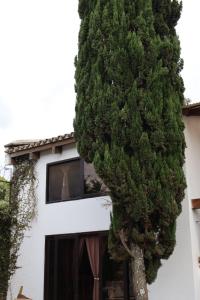 Το κτήριο όπου στεγάζεται  ο ξενώνας +6 φωτογραφίες