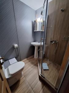 a bathroom with a shower and a toilet and a sink at Norica Guesthouse in Gura Rîului