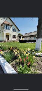 ein Garten mit Blumen vor einem Haus in der Unterkunft Casa Sofia in Murighiol + 12 Fotos