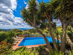 una piscina con palmeras en el primer plano en Rural House in Antequera, en La Joya 21 fotos más