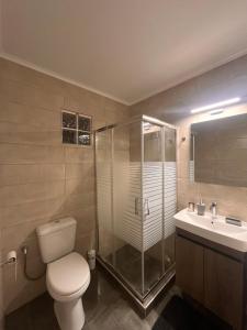 a bathroom with a toilet and a shower and a sink at Ήρεμο σπίτι casa puente in Stenón