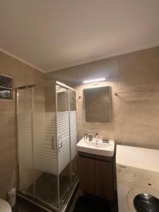 a bathroom with a shower and a sink and a toilet at Ήρεμο σπίτι casa puente in Stenón
