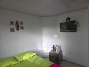 a bedroom with a bed and a tv on the wall at P.N Manchineel road Providence Island ECORELAX in Providencia