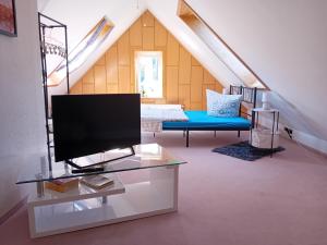 a living room with a bed and a tv at Himmelsleiter in Schneeberg