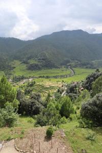 Příroda nedaleko ubytování v soukromí