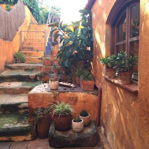 un jardín al aire libre con macetas en las escaleras en El Terral en Sant Vicenç de Montalt