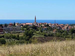 Příroda nedaleko prázdninového domu + 31 fotografií