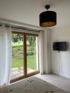Schlafzimmer mit Glasschiebetür und TV in der Unterkunft La maison près de la fontaine B&B paisible 1 in Lépanges-sur-Vologne