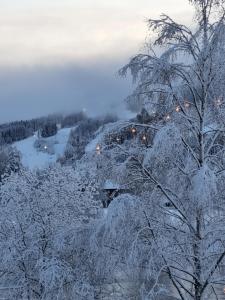 eine Winterszene mit schneebedeckten Bäumen und Lichtern in der Unterkunft Strandås B&B in Branäs