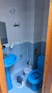 a bathroom with a blue toilet and a sink at Flat with 3 rooms near parks in Bishkek