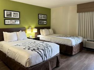 two beds in a hotel room with green walls at Sleep Inn & Suites Near Columbus - State University Area in Columbus