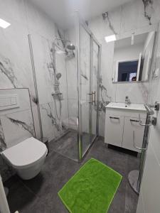 a bathroom with a shower and a toilet and a sink at Villa Carpe Diem in Vantačići +31 photos