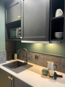 a kitchen with a sink and a counter top at Charmant studio, séjour paisible in Châtel-Guyon +28 photos