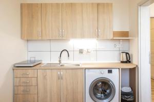 a kitchen with a sink and a washing machine at Útulný apartmán na ulici Přemyslovců in Mariánské Hory