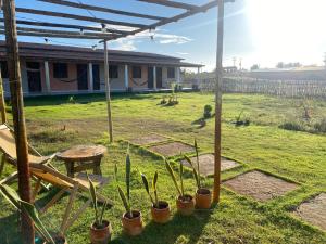 a yard with a table and a chair and plants at Pousada Barlavento in Luis Correia