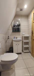 Ένα μπάνιο στο Kwatery U Adama Zawoja +18 φωτογραφίες