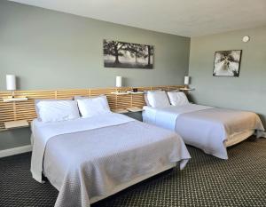 Una habitación de hotel con dos camas con sábanas blancas. en Lord Nelson Motel, en Kingston