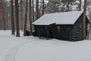 a cabin with snow on the roof in the woods at Authentic Log Cabin with Full Kitchen, Fireplace a in Eureka Springs +4 photos