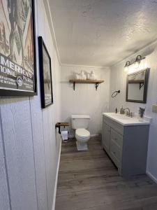 a bathroom with a toilet and a sink and a mirror at Adventure Cabin 3 King Bed Hot Tub in Eureka Springs
