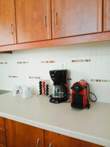 a kitchen counter top with a coffee maker on it at Sogno Sulla Montagna in Lagadia