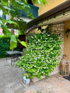 a large green bush on the side of a building at Mia's House on Lake Garda in Sirmione +55 photos