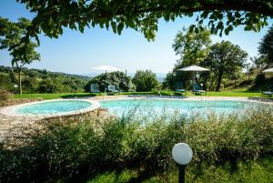 斯坎薩諾的住宿－波德爾萊奧農莊旅館，庭院内的游泳池,配有椅子和遮阳伞