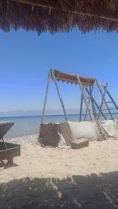 a swing on a beach with the ocean in the background at Soul camp in Nuweiba‘ el Muzeinah +6 photos