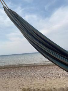 Ảnh trong thư viện ảnh của Soul camp ở Nuweiba`