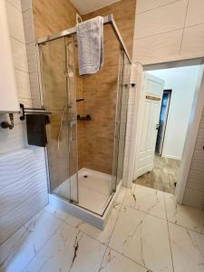 a shower with a glass door in a bathroom at Ptasie Mleczko in Zielona Góra