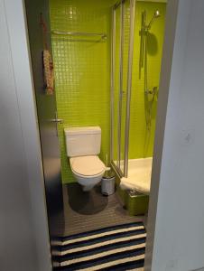 a small bathroom with a toilet and a shower at Alpina Peaks in Saas-Fee +10 photos
