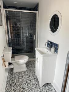 a bathroom with a toilet and a sink and a shower at Wee Henry's Barn in Ballymartin