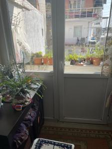 イスタンブールにあるDaniels Placeの鉢植えの植物が置かれた窓とドアのある部屋