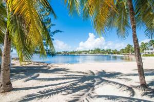 a beach with palm trees and a body of water at Korner Kai Condo in Driftwood Village