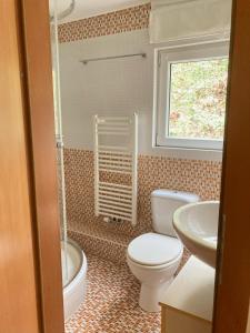 a bathroom with a toilet and a sink at Cosy European Instituts in Luxembourg