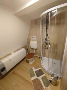 a small bathroom with a shower and a toilet at Cabana Soarelui,Napos vendégház in Valea Boroş +64 photos
