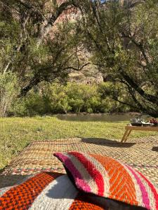 Zahrada ubytování River House Urubamba - Mountain View Bungalows & River Access