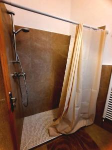 une douche avec un rideau de douche dans une salle de bain dans l'établissement Bilocale tra Verona e Lago di Garda, à Bussolengo