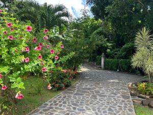 een pad met roze bloemen en een bos struiken bij Kaz Raphitou in Bouillante