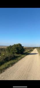 a dirt road in the middle of a field at Strandhuisje Anna dicht bij de zee in Ouddorp