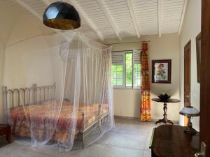 een slaapkamer met een bed met een klamboe bij Kaz Raphitou in Bouillante