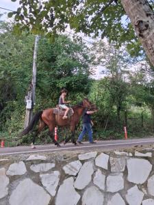 a woman riding a horse down a street at Guest House Guliada in Gordi