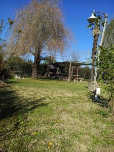 a tree in a field with a building in the background at Quinta "El Ángel Gabriel" in Gowland +5 photos
