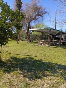 a picnic shelter with a picnic table in a park at Quinta "El Ángel Gabriel" in Gowland