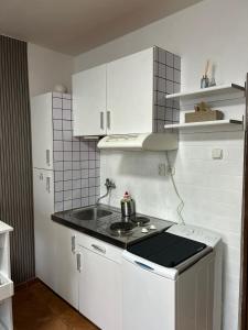 eine Küche mit weißen Schränken und einem Herd mit Backofen in der Unterkunft Cozy Apartment next to the train station and near the city center in Bratislava