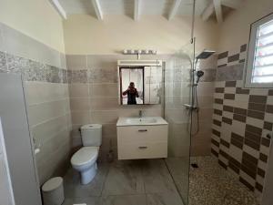 een badkamer met een toilet, een wastafel en een spiegel bij Kaz Raphitou in Bouillante +14 foto's