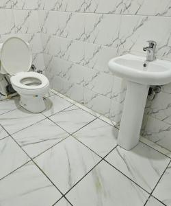 a white bathroom with a toilet and a sink at Wood Lake Apartment in Dushekoro +18 photos